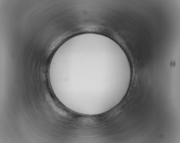 X0000114020106200910231846