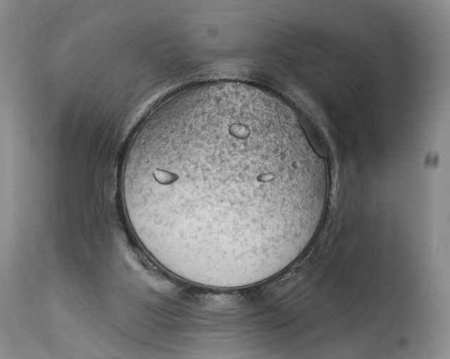 X0000114020107200910231846