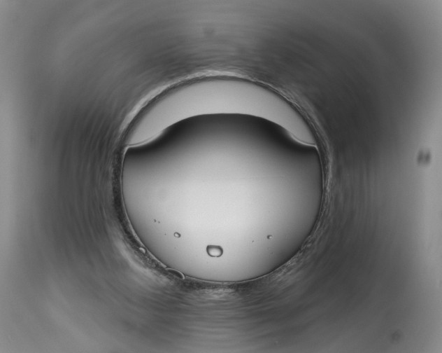 X0000114020108200910231846