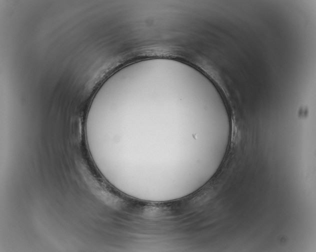 X0000114020109200910231846