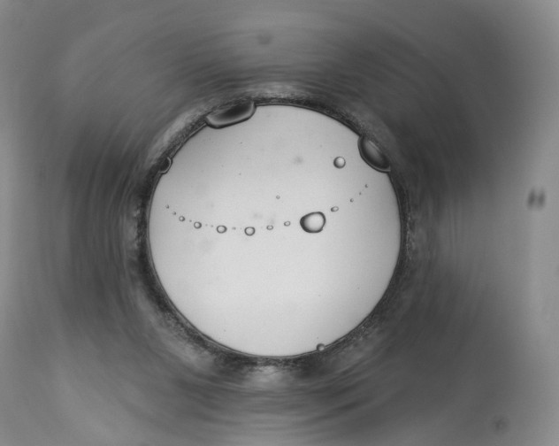 X0000114020111200910231846