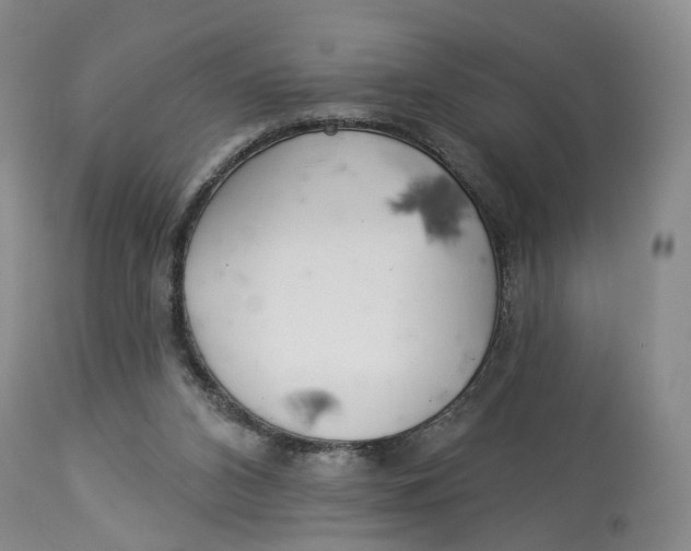 X0000114020112200910231846