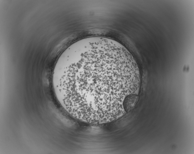 X0000114020114200910231846