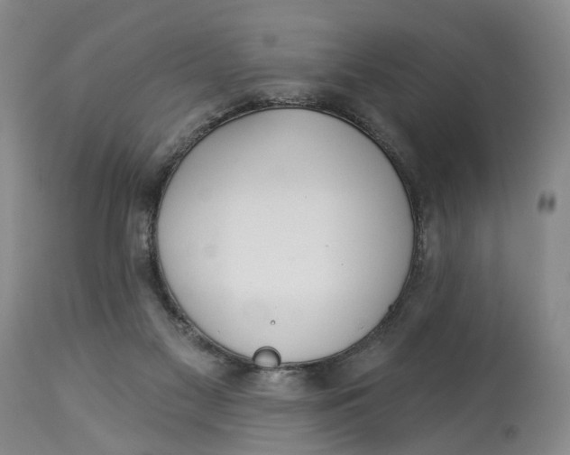 X0000114020117200910231846