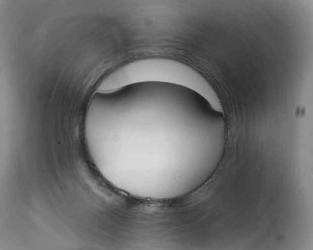 X0000114020120200910231846