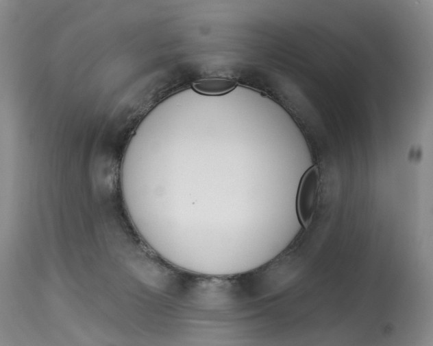 X0000114020125200910231846