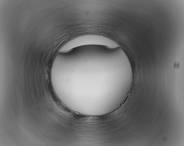 X0000114020128200910231846