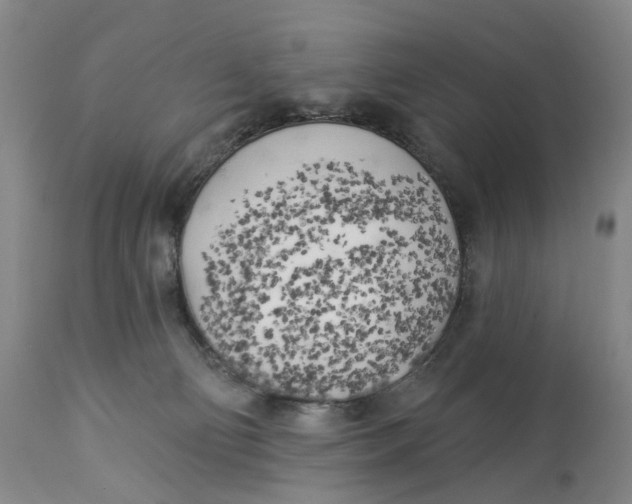 X0000114020130200910231846