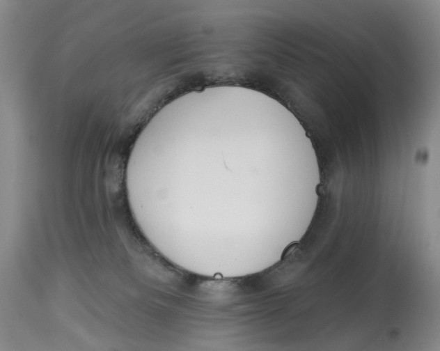 X0000114020133200910231845