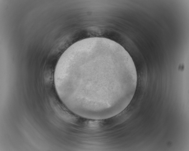 X0000114020134200910231845