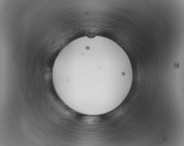 X0000114020135200910231845