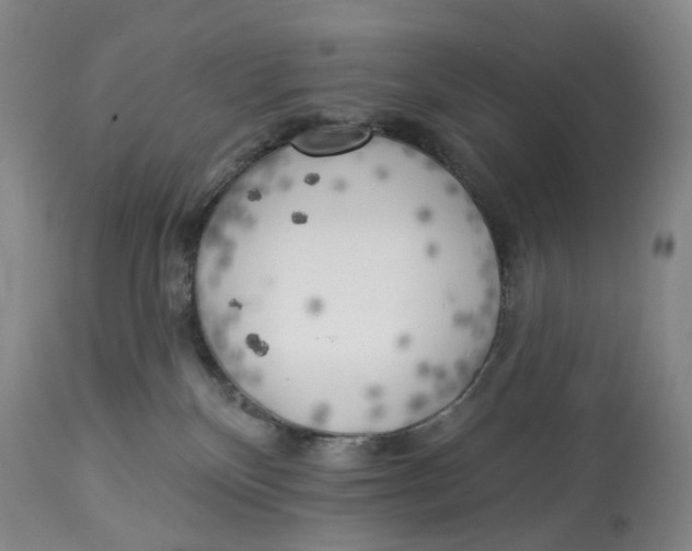 X0000114020136200910231845