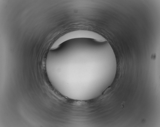 X0000114020137200910231845