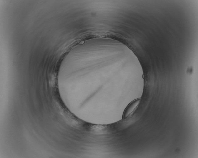 X0000114020139200910231845