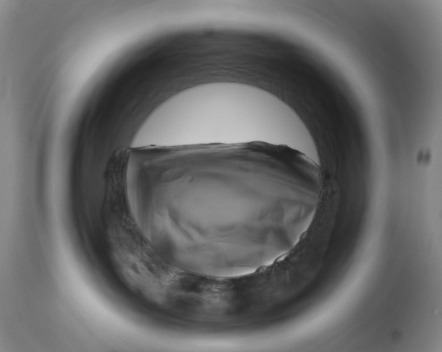 X0000114020143200910231845