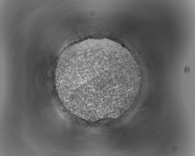 X0000114020144200910231845