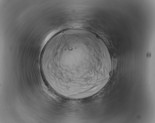 X0000114020147200910231845