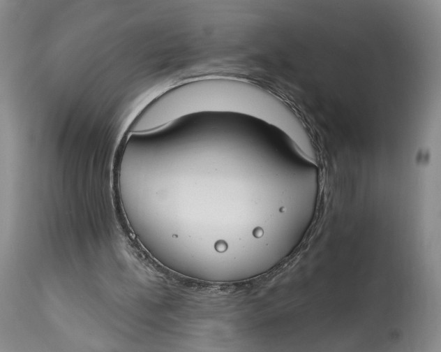 X0000114020148200910231845