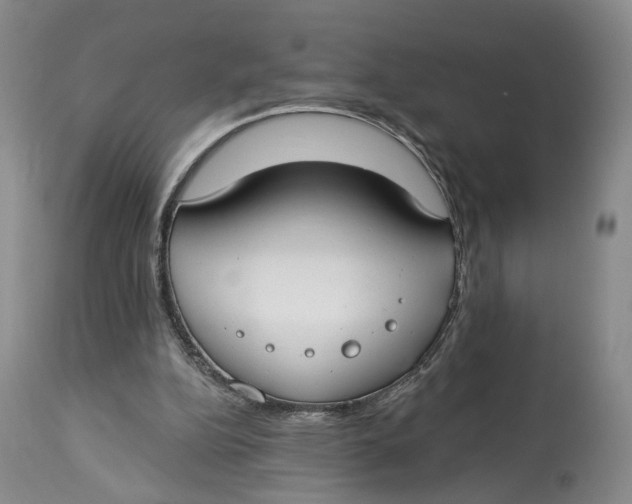 X0000114020152200910231845