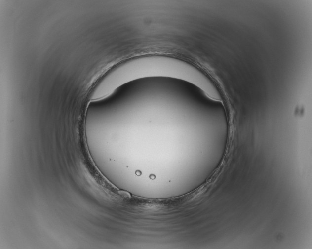 X0000114020154200910231845