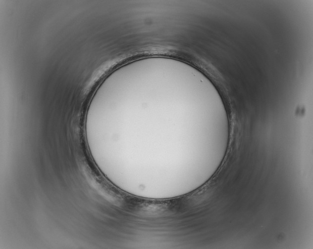 X0000114020155200910231845