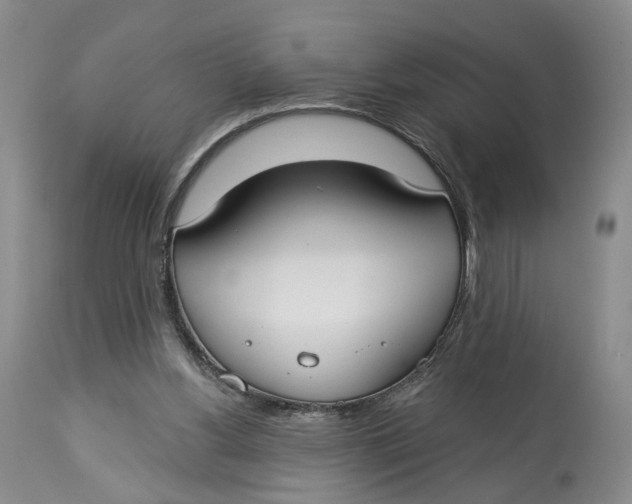 X0000114020156200910231845