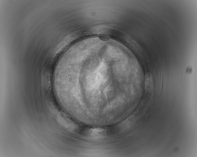 X0000114020158200910231845