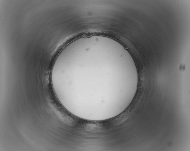 X0000114020160200910231845