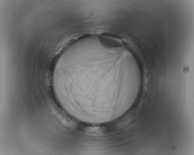 X0000114020161200910231845