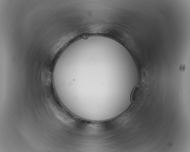 X0000114020164200910231845