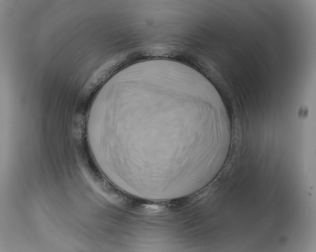 X0000114020167200910231845