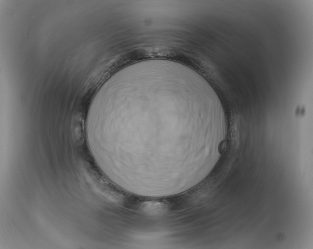 X0000114020169200910231845