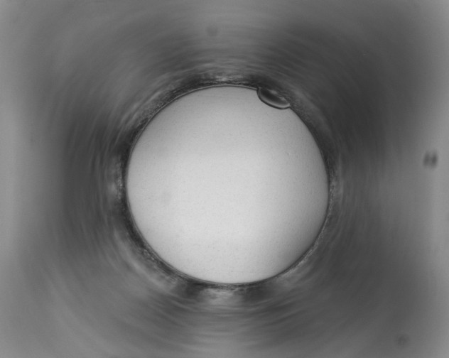 X0000114020170200910231845