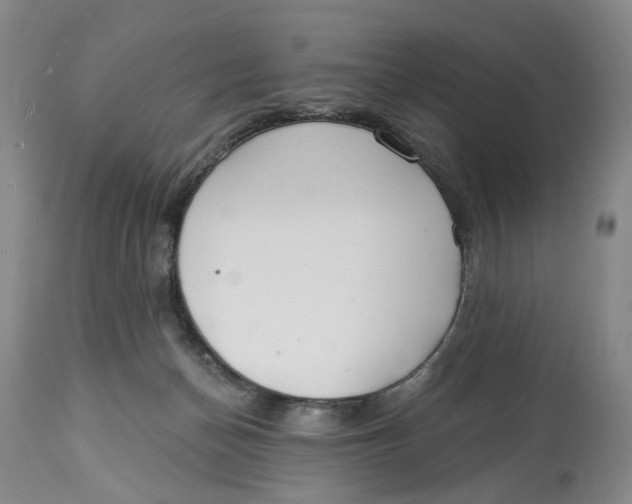 X0000114020174200910231845