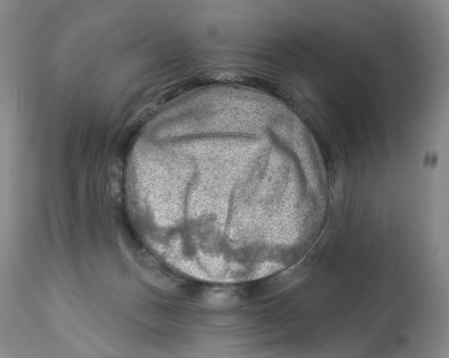 X0000114020175200910231845