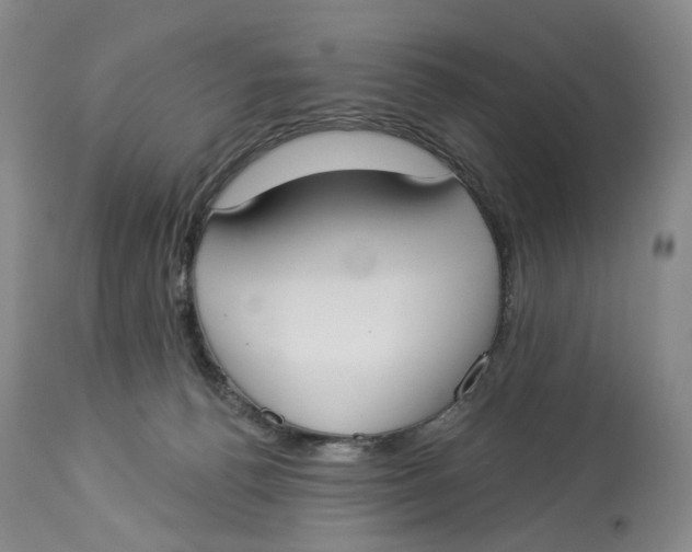 X0000114020176200910231845