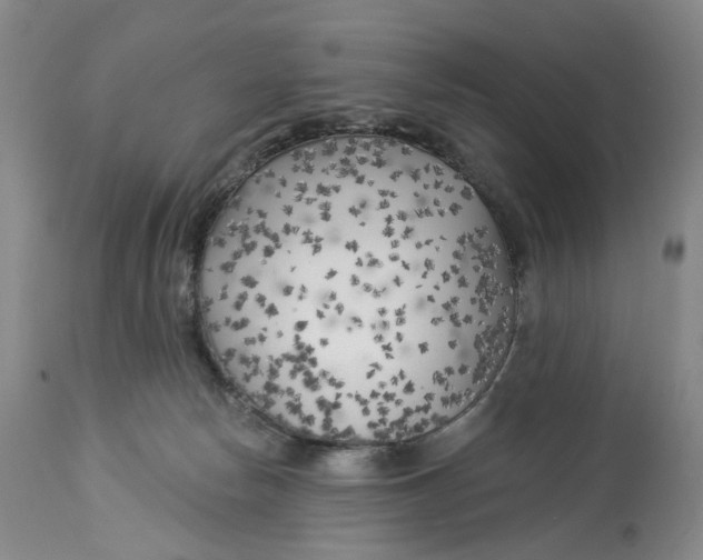 X0000114020178200910231845