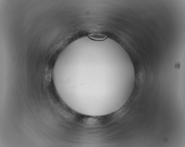 X0000114020180200910231845