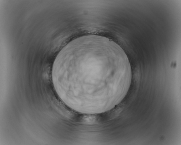 X0000114020181200910231845