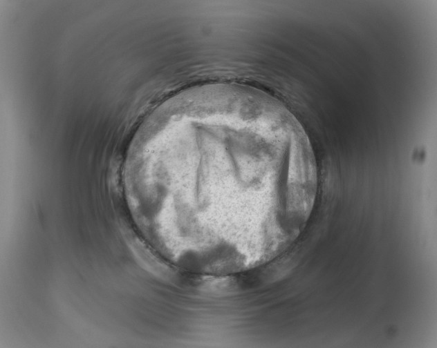 X0000114020185200910231845