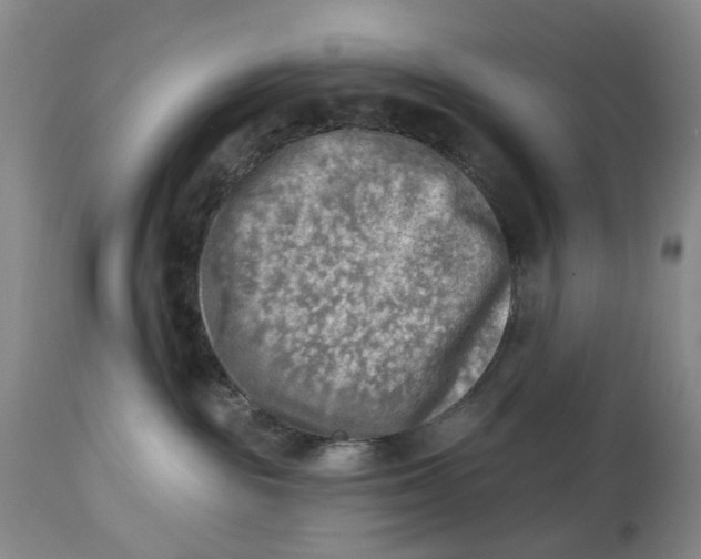 X0000114020189200910231845