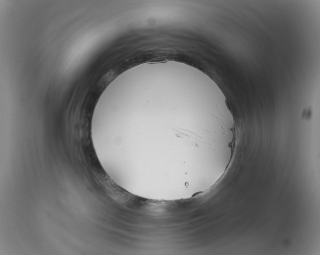 X0000114020190200910231845