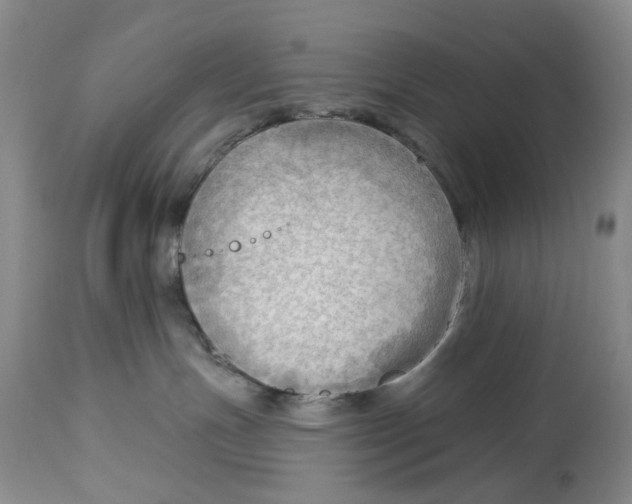 X0000114020191200910231845