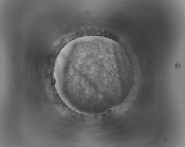 X0000114020192200910231845