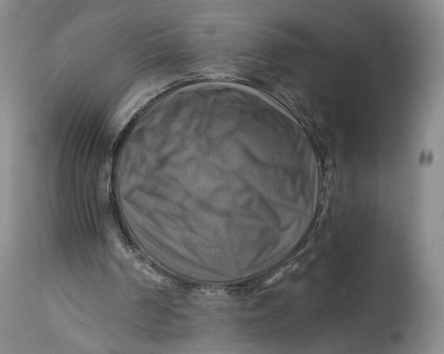 X0000114020194200910231844