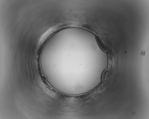 X0000114020197200910231844