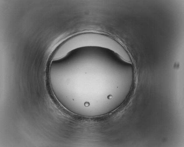 X0000114020199200910231844