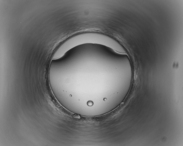 X0000114020201200910231844