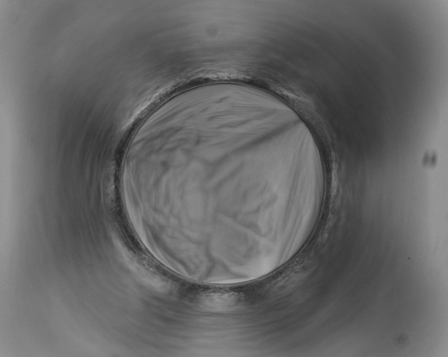 X0000114020202200910231844