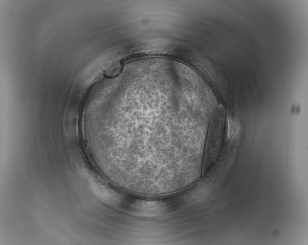 X0000114020205200910231844